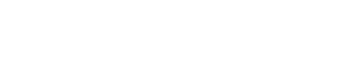 Logo Hornet Security