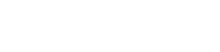 Logo Perception Point