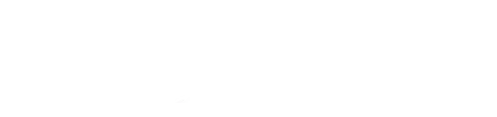 Logo Ridge Security