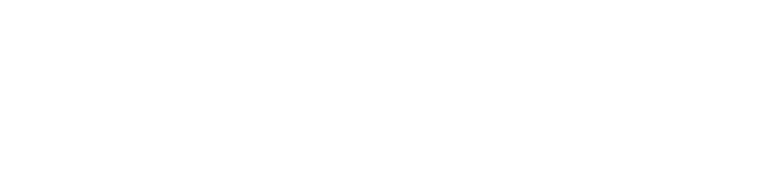 Logo Sailpoint